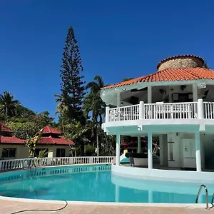 https://palms-lounge-cabarete.comcaribbean.com